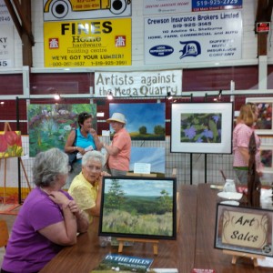Artists Against the MegaQuarry exhibit